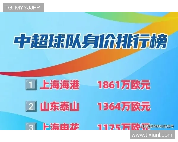 2014年全球足球球员身价排行榜分析与影响因素探讨